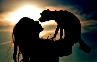 morte di un animale domestico: iter e burocrazia