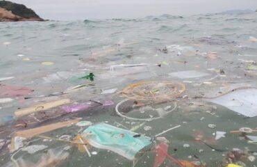 GUANTI E MASCHERINE: IL LORO CORRETTO SMALTIMENTO SENZA METTERE A REPENTAGLIO NATURA E ANIMALI