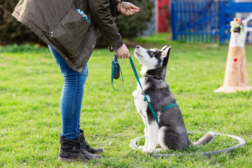Dai canili arrivano i cani poliziotto: l’iniziativa del centro cinofilo di Asti