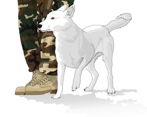 Addio Rocky: quando anche i criminali hanno un cuore per gli animali