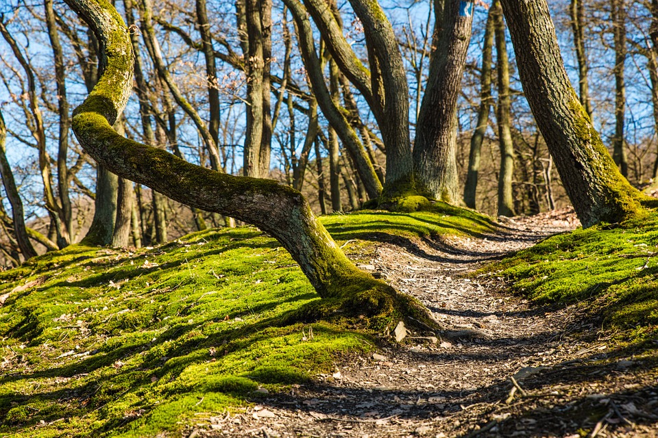 Parte il 2 maggio "La Via dei Marsi” un itinerario ambientale, storico, culturale, religioso e turistico di 600 km