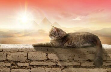 Il gatto nell’Antico Egitto: i diversi volti del sacro