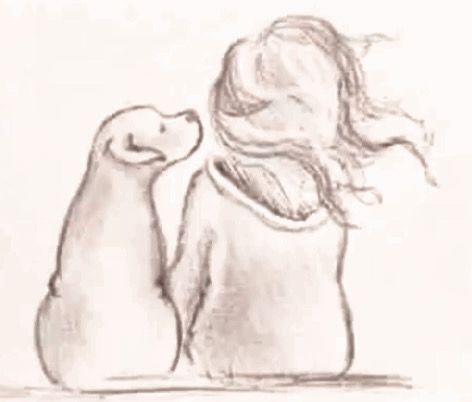 Yoghi: storia di un cane
