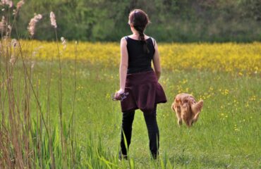 Chieti: individuate 3 aree di sgambamento cani