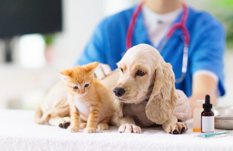 Pescara: debutta il “Veterinario Sociale”
